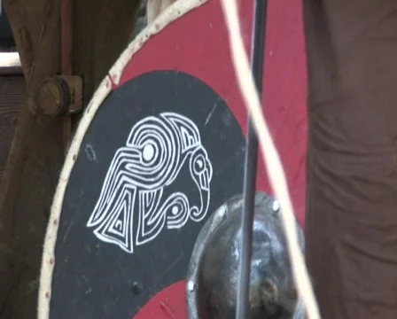 Viking shield Stockbeeldmateriaal 682666