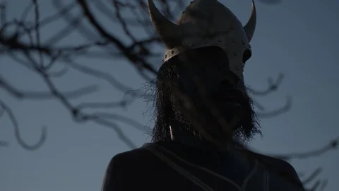 Viking Statue Pan Tracking Shot Slow Motion Video stock 129481170