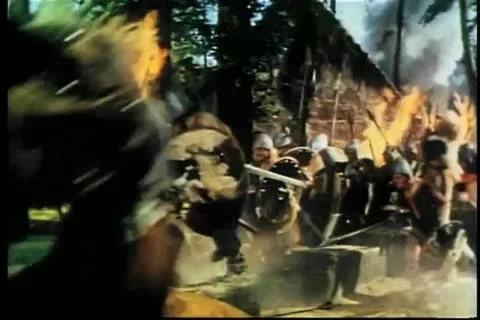 Vikings invading village Video stock 11348901