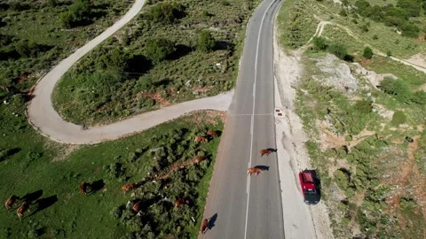 Vikos Gorge's Road to Wonder Stock Footage 253780320