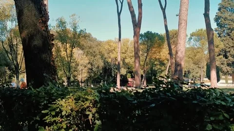 Villa Borghese 1 Stock Footage 342759279