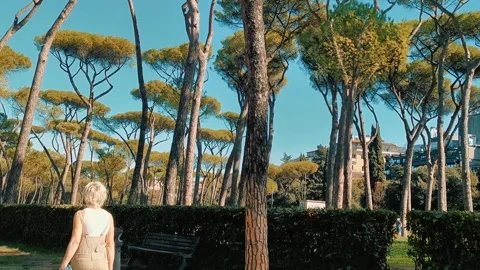 Villa Borghese 11 Stock Footage 342759482