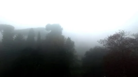 Villa Borghese, Rome. Camera moves away, Ionic style temple, lake garden Stock Footage 71249168