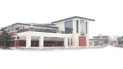 A villa courtyard in the falling snow Vidéo 345865041