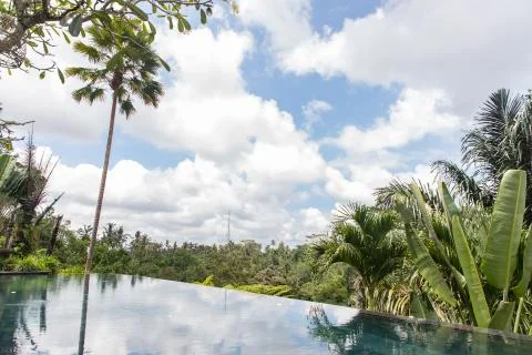 Villa infinity pool with a palm tree and rain forest with blue and clouds in  Stock Photos