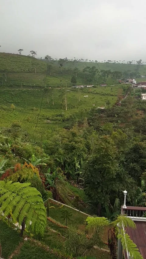 Villa on the mountain Stock Footage 243499355