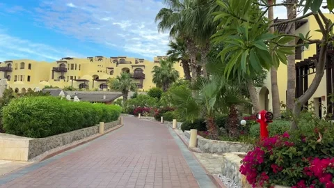 Villa with palm trees with blue sky at daytime Stock Footage 238900570