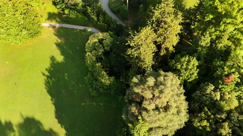 Villa Pan Up Tilt Stock Footage 314812193