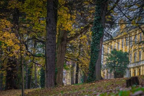 A villa in the park in fall surrounded by leafy leaves Stock Photos