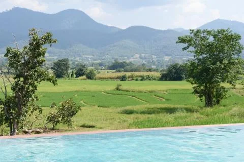 Villa with pool Foto stock