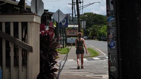 Village 191 Stock Footage 155495595