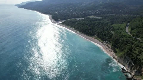 Village along a tree-lined sandy beach, aerial view Stock Footage 278368659