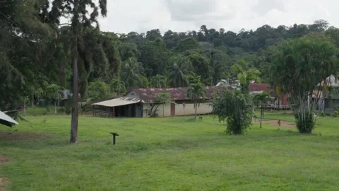 Village in the Amazon Stock Footage 317885055