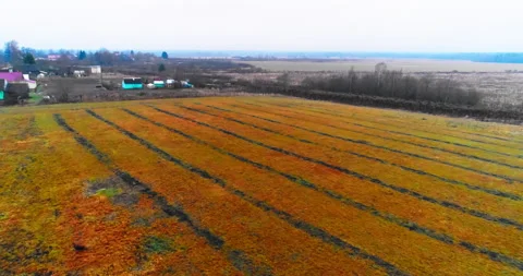 Village and fields from quadcopter Stock-Footage 169417875