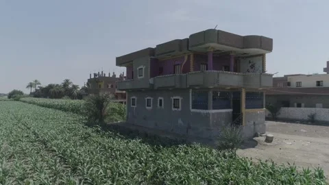 A village in Assiut, Egypt Video stock 252993022