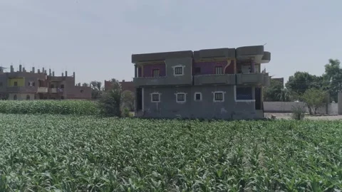 A village in Assiut, Egypt Video stock 252993399