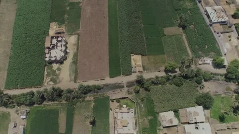A village in Assiut, Egypt Video stock 252993683