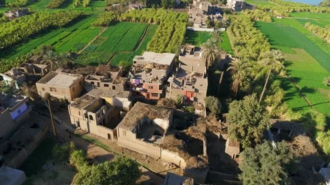 A village in Assiut, Egypt Video stock 253013839