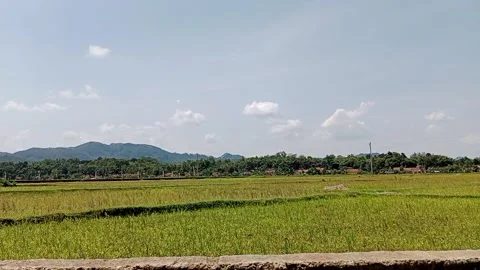 Village atmosphere Video stock 209408322