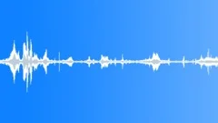 Village atmosphere stereoSound Effect