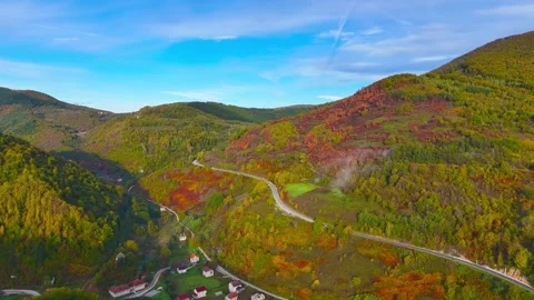 Village in Bloom Stock Footage 306562047