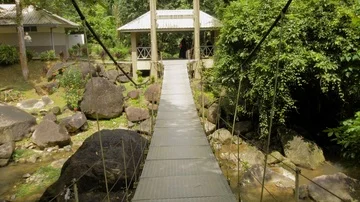 Village bridge in Malaysia Stock Footage 85562853