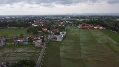 Village on the edge of rice fields with cloudy skies Video stock 278962293