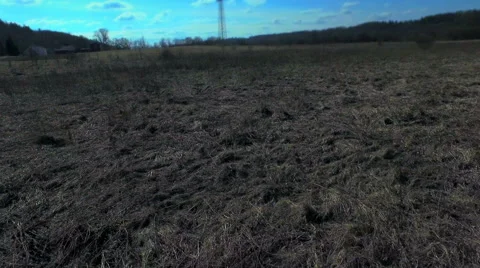 Village Field Stock-Footage 47955042