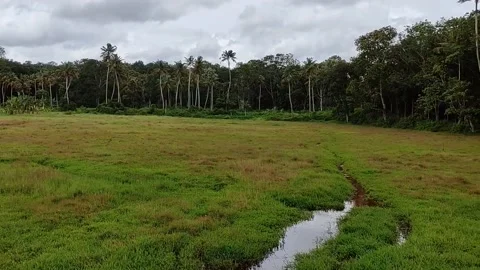 Village field Stock Footage 157477638