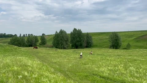 Village field Stock Footage 296998985