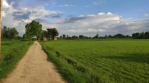 Village fields and mud road pan view  Stock Footage 140958863