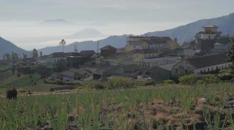 Village with fields and volcano with low clouds,Cemoro Lawang,Java,Indonesia Stock Footage 55791203