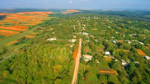 Village flight Stock Footage 99328501
