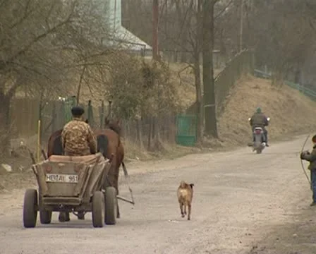 Village Stock Footage 8839139
