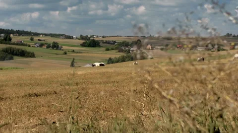 Village Stock Footage 30753837