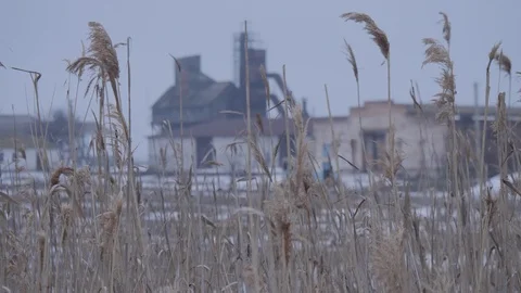 Village Stock Footage 86971107