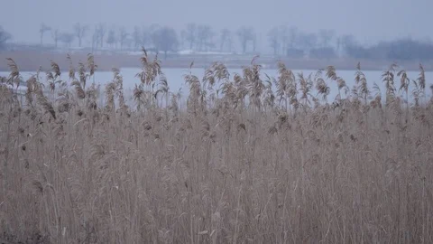 Village Stock Footage 86971138