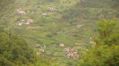 Village in a forest with mountains on Madeira Stock Footage 58326257