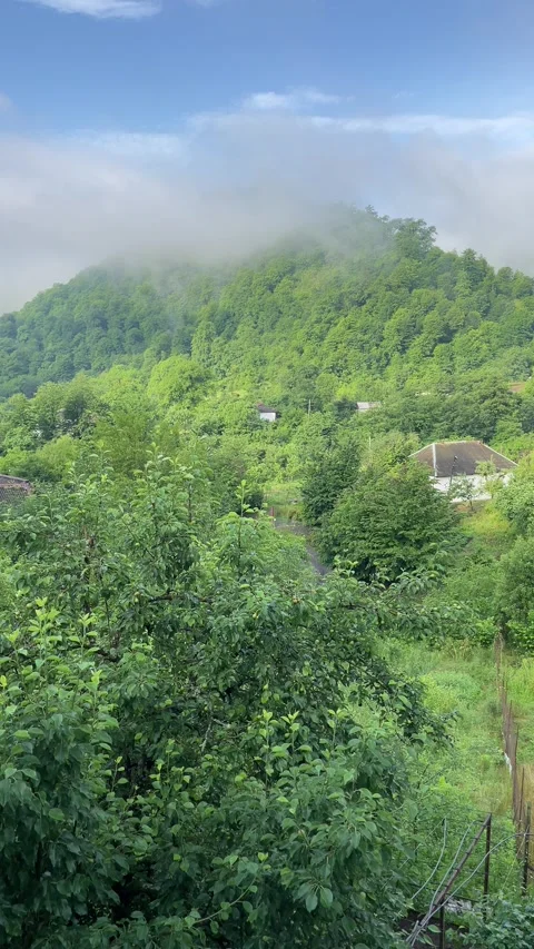 Village in Lerik Stock Footage 330169605