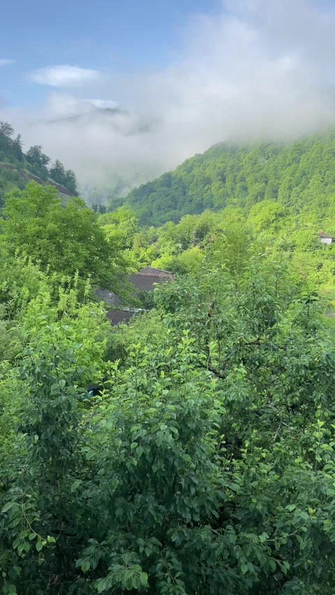 Village in Lerik Stock Footage 330169619