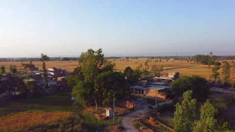 Village in the middle of the fields india Stock Footage 246925063