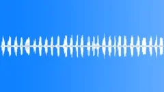 Village Morning Birds Ambience (Country, Settlement, Atmosphere) Sound Effect