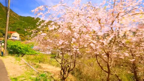 Village in the mountains Stock Footage 235652989
