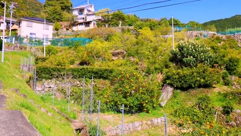 Village in the mountains Stock Footage 235653119
