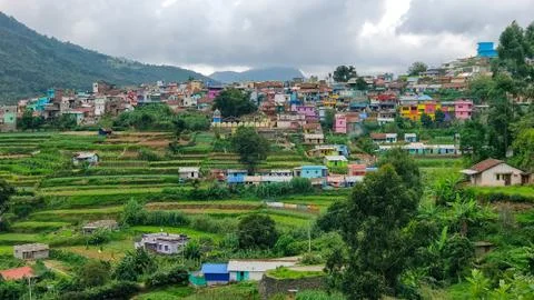 A village in Munnar Stock Photos