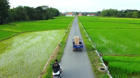 Village Nature Video stock 221451838