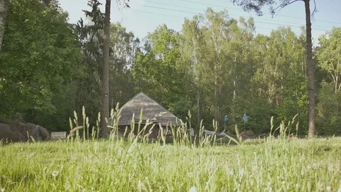 The village is on the outskirts of a green forest. Rural landscape. Country hut Stock Footage