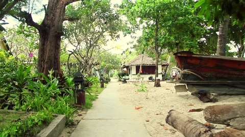 Village Path Trough The Jungle, Frontal Dolly camera Stock Footage 80273886