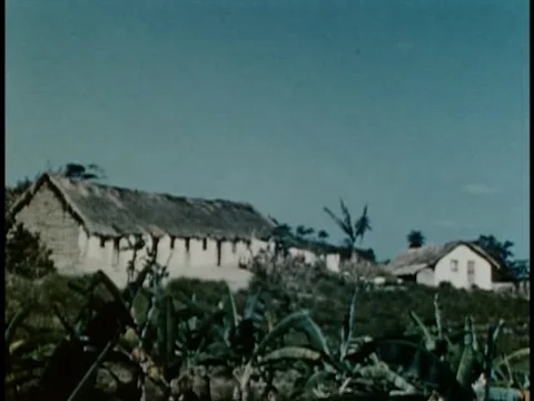 Village in Pernambuco - 1950 Stock Footage 93110036
