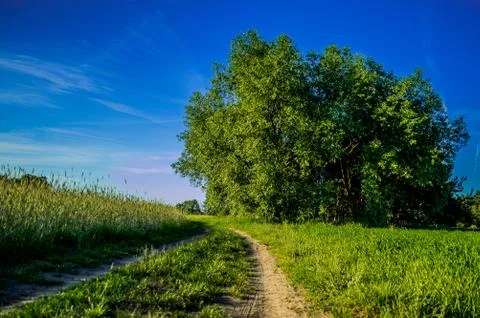 Village Stock Photos